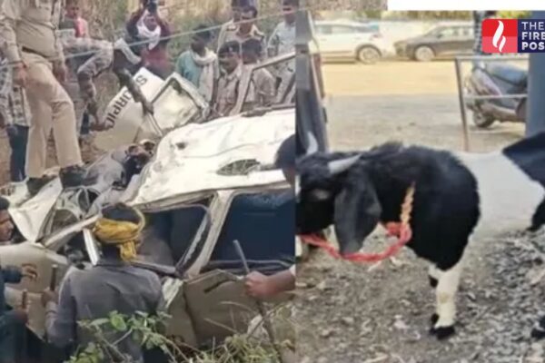 Madhya Pradesh news